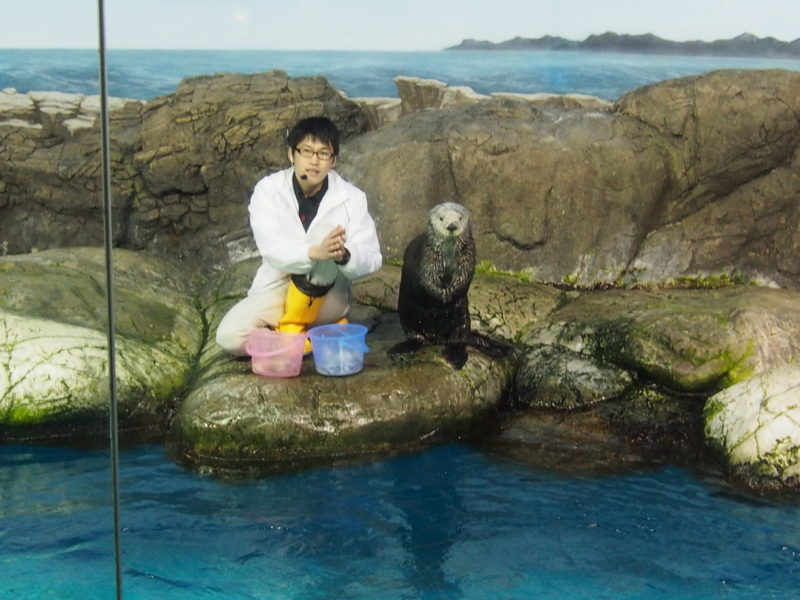 f:id:sattisatisatti:20140202194018j:image:w640 f:id:sattisatisatti:20140202194018j:image:w640
