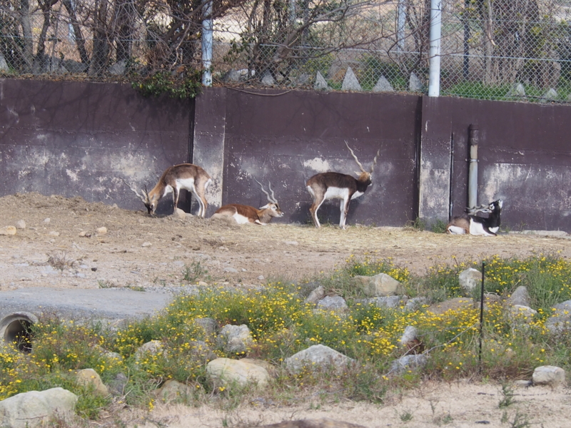 f:id:sattisatisatti:20140202194024j:image:w640 f:id:sattisatisatti:20140202194024j:image:w640