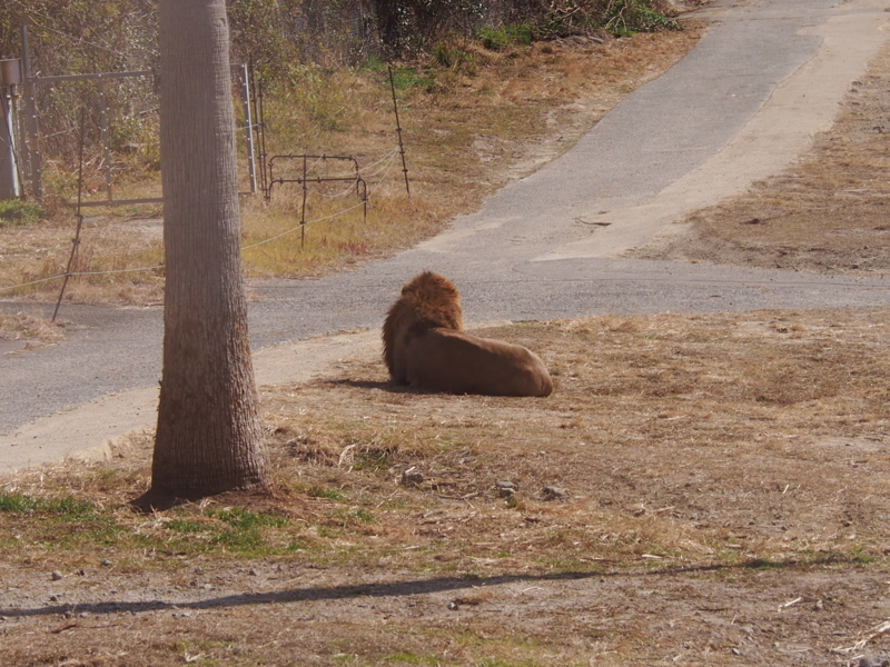 f:id:sattisatisatti:20140202194029j:image:w640 f:id:sattisatisatti:20140202194029j:image:w640