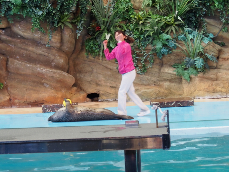 f:id:sattisatisatti:20140202194045j:image:w640 f:id:sattisatisatti:20140202194045j:image:w640