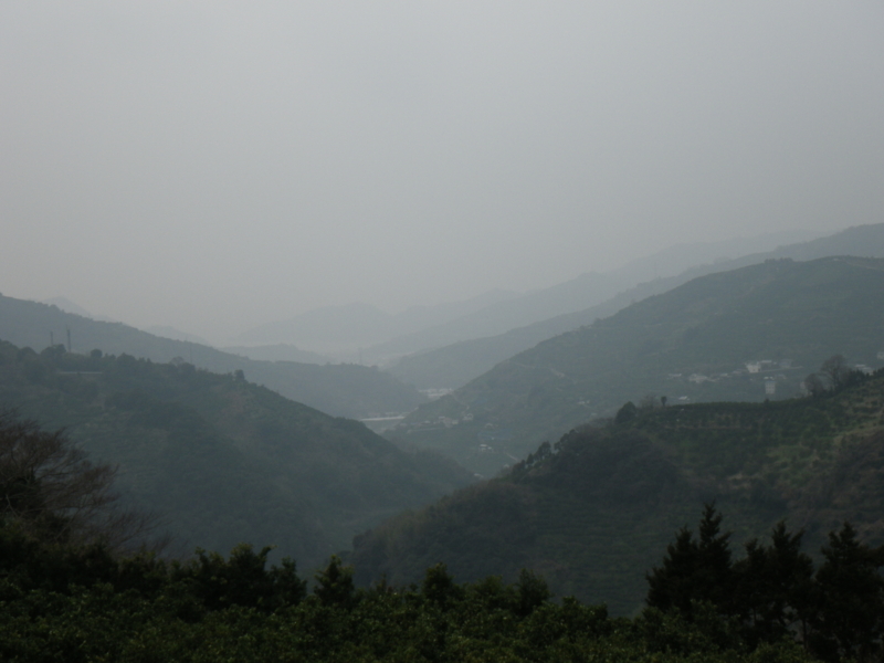 f:id:sattisatisatti:20140203235259j:image:w360