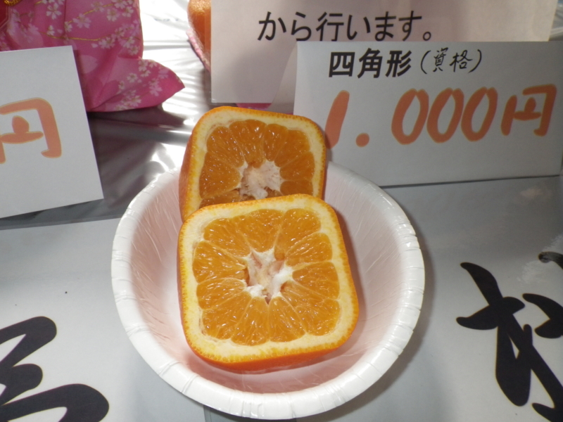 f:id:sattisatisatti:20140210203740j:image:w640 f:id:sattisatisatti:20140210203740j:image:w640