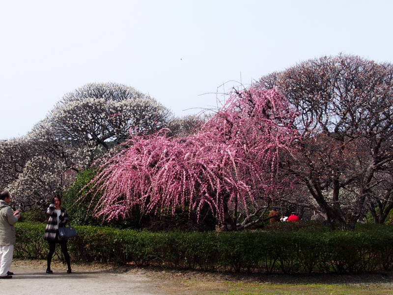 f:id:sattisatisatti:20140217055127j:image:w640 f:id:sattisatisatti:20140217055127j:image:w640