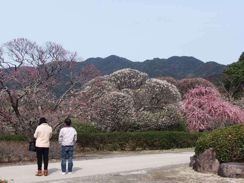 f:id:sattisatisatti:20140217055129j:image:w640 f:id:sattisatisatti:20140217055129j:image:w640
