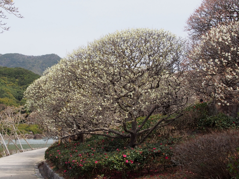 f:id:sattisatisatti:20140217055134j:image:w640 f:id:sattisatisatti:20140217055134j:image:w640