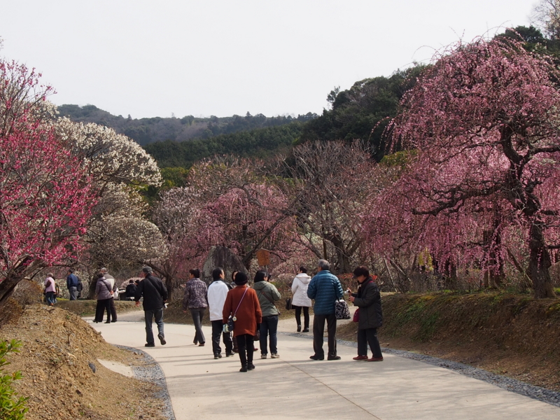 f:id:sattisatisatti:20140217055135j:image:w640 f:id:sattisatisatti:20140217055135j:image:w640