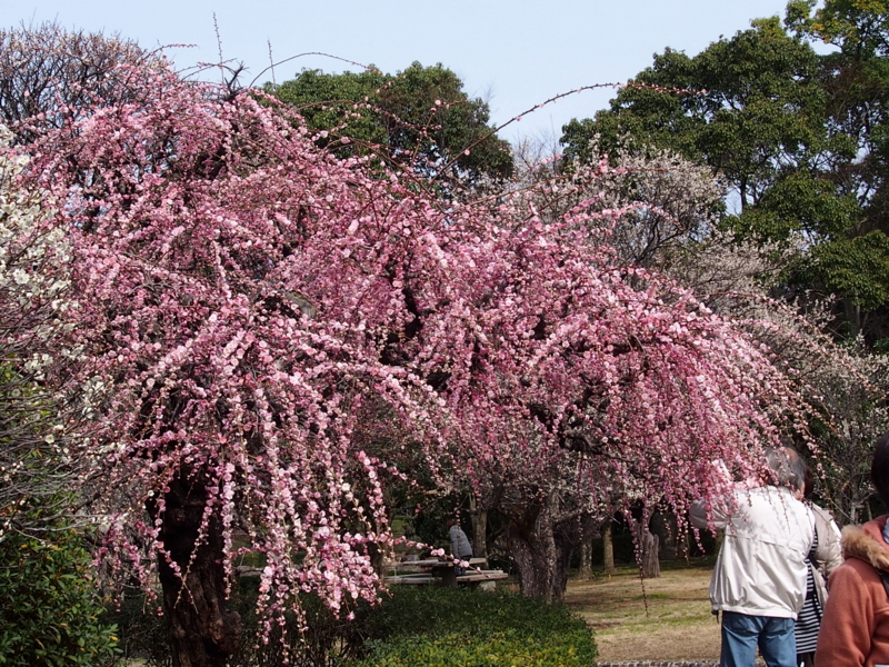 f:id:sattisatisatti:20140217055139j:image:w640 f:id:sattisatisatti:20140217055139j:image:w640