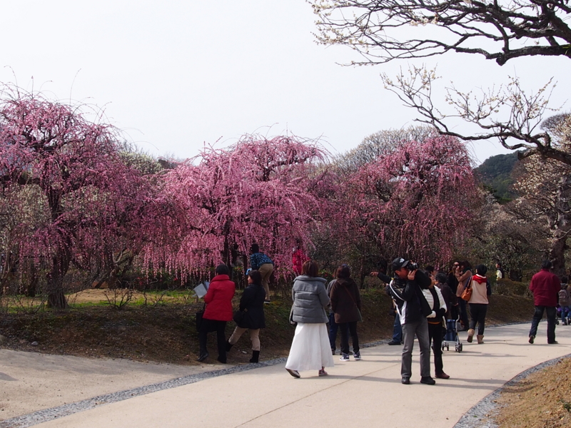 f:id:sattisatisatti:20140217055152j:image:w640 f:id:sattisatisatti:20140217055152j:image:w640