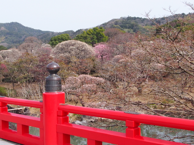f:id:sattisatisatti:20140217055154j:image:w640 f:id:sattisatisatti:20140217055154j:image:w640