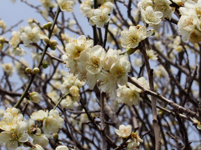 f:id:sattisatisatti:20140217055158j:image:w640 f:id:sattisatisatti:20140217055158j:image:w640