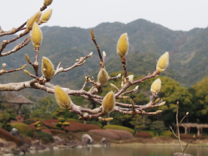 f:id:sattisatisatti:20140217055847j:image:w640 f:id:sattisatisatti:20140217055847j:image:w640
