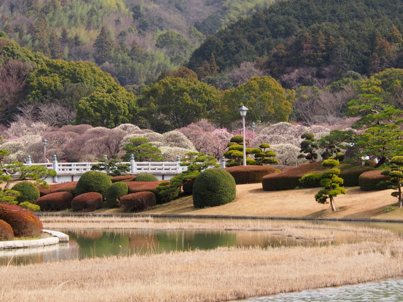 f:id:sattisatisatti:20140217055848j:image:w640 f:id:sattisatisatti:20140217055848j:image:w640