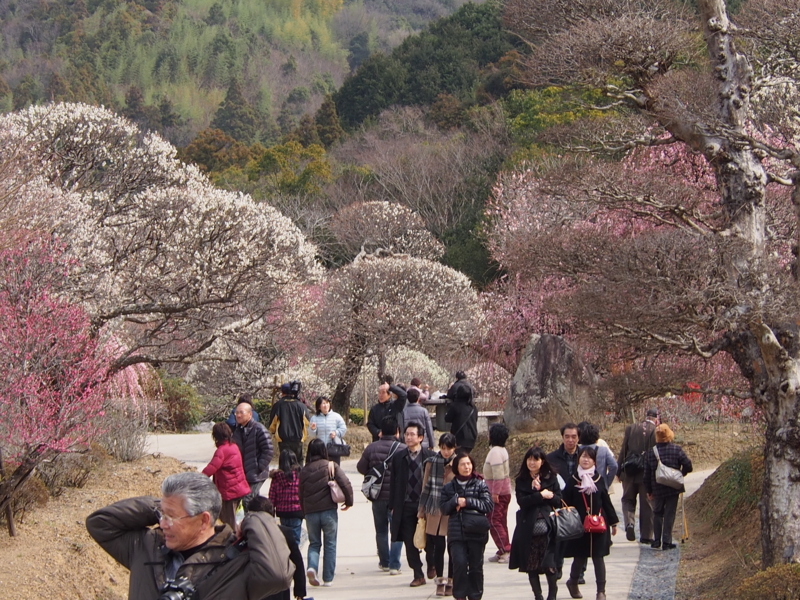 f:id:sattisatisatti:20140217055849j:image:w640 f:id:sattisatisatti:20140217055849j:image:w640