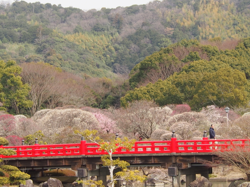 f:id:sattisatisatti:20140217055850j:image:w640 f:id:sattisatisatti:20140217055850j:image:w640