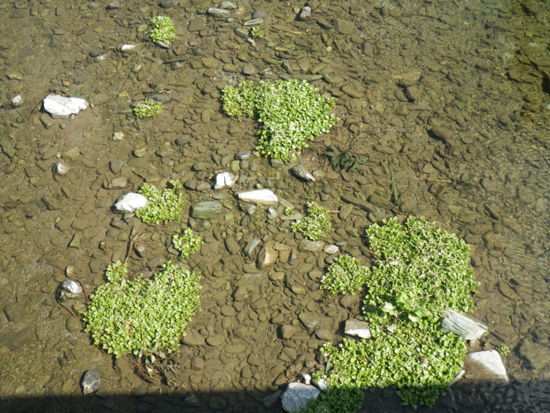 f:id:sattisatisatti:20140221193758j:image:w360