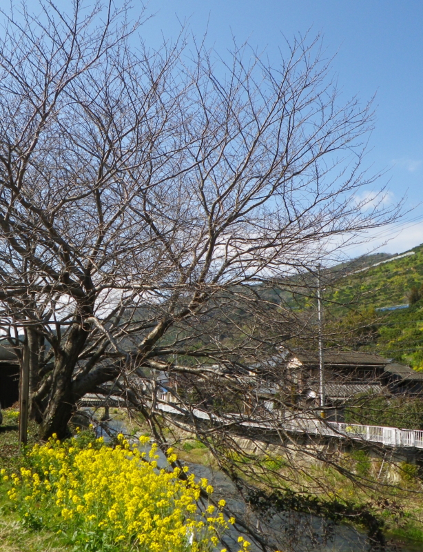 f:id:sattisatisatti:20140221193759j:image:w360