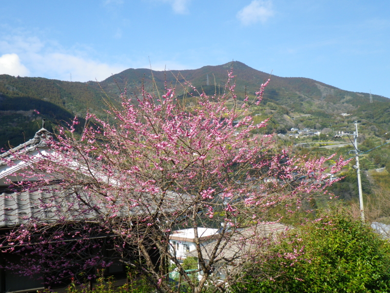 f:id:sattisatisatti:20140221194223j:image:w640
