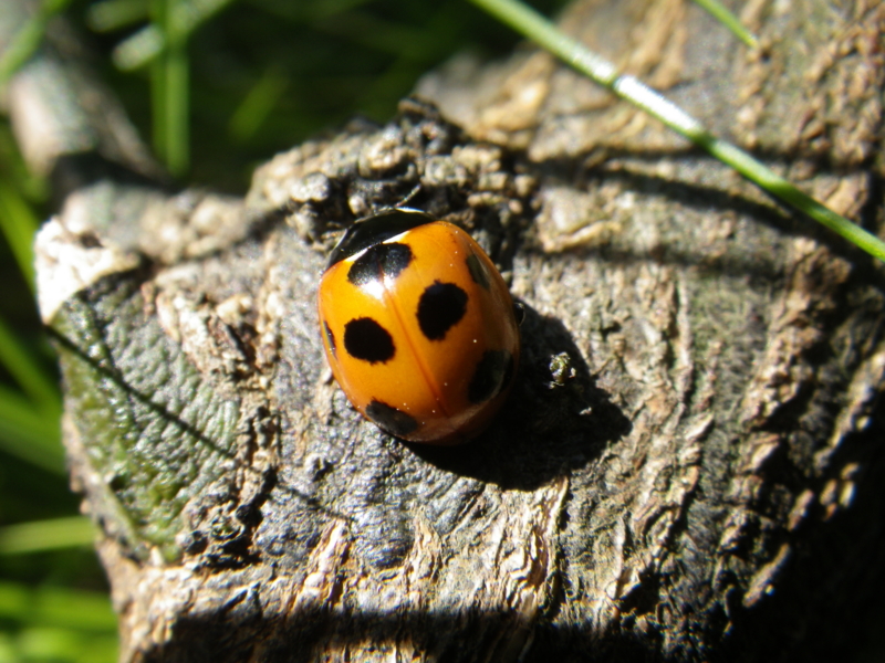 f:id:sattisatisatti:20140222213320j:image:w640 f:id:sattisatisatti:20140222213320j:image:w640