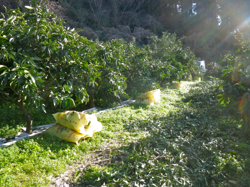 f:id:sattisatisatti:20140222215657j:image:w360 f:id:sattisatisatti:20140222215657j:image:w360
