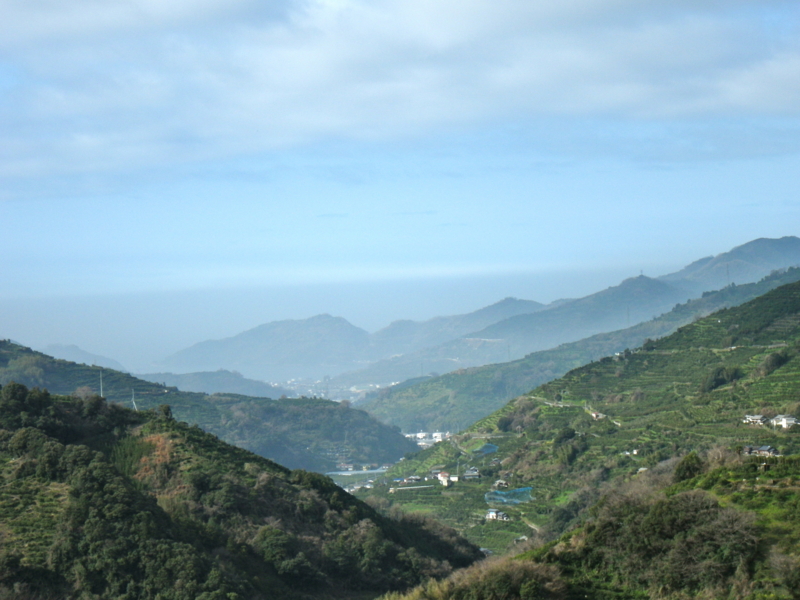 f:id:sattisatisatti:20140227171842j:image:w360 f:id:sattisatisatti:20140227171842j:image:w360