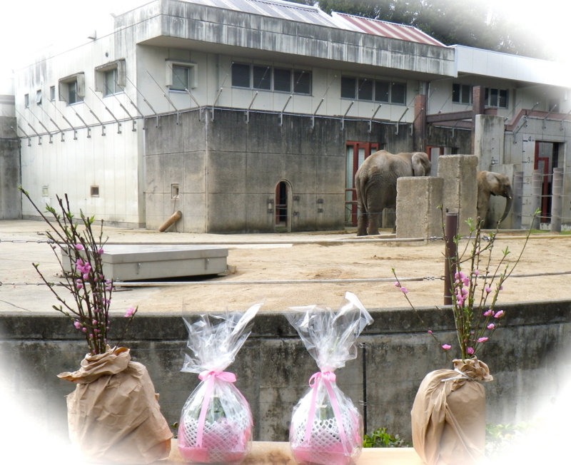 f:id:sattisatisatti:20140303124557j:image:w640 f:id:sattisatisatti:20140303124557j:image:w640