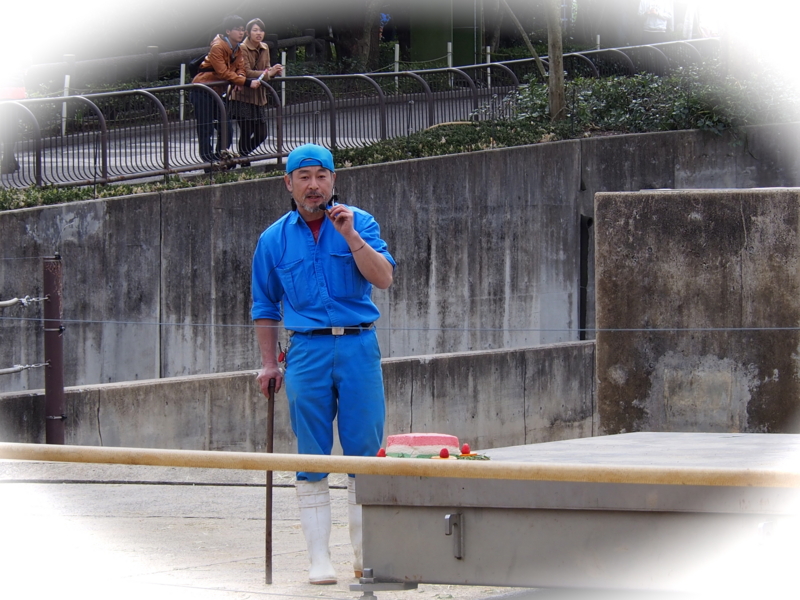 f:id:sattisatisatti:20140303125228j:image:w640 f:id:sattisatisatti:20140303125228j:image:w640