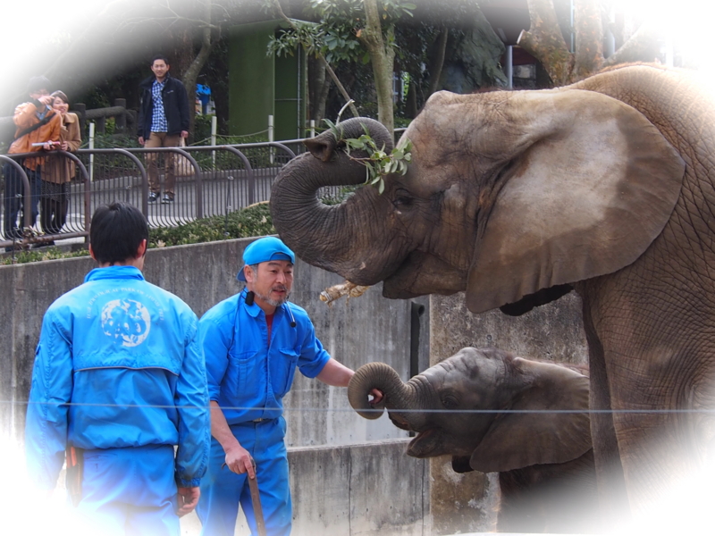 f:id:sattisatisatti:20140303125230j:image:w640 f:id:sattisatisatti:20140303125230j:image:w640