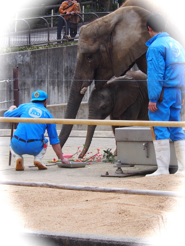 f:id:sattisatisatti:20140303125231j:image:w640 f:id:sattisatisatti:20140303125231j:image:w640