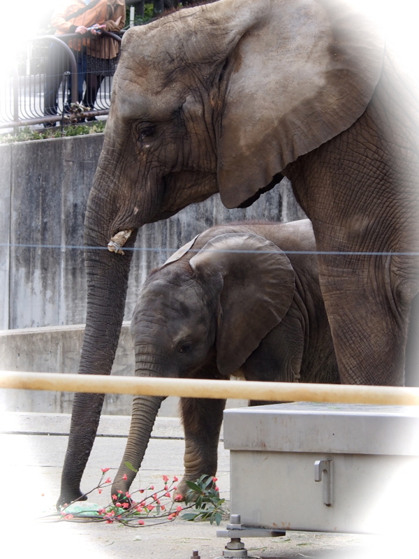 f:id:sattisatisatti:20140303125232j:image:w640 f:id:sattisatisatti:20140303125232j:image:w640