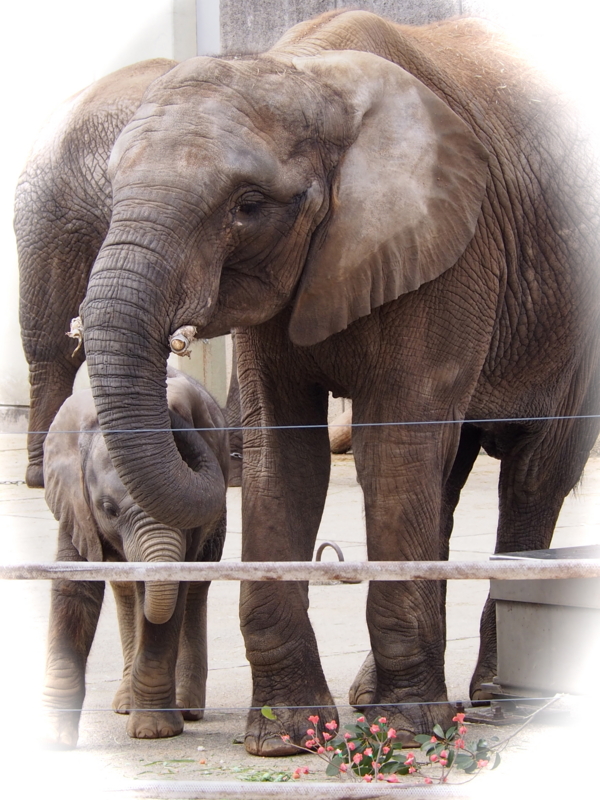 f:id:sattisatisatti:20140303125233j:image:w640 f:id:sattisatisatti:20140303125233j:image:w640