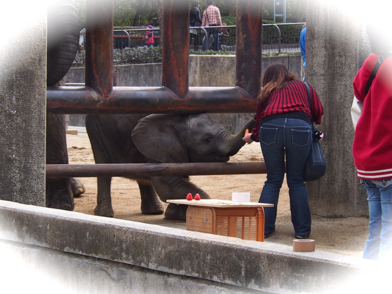 f:id:sattisatisatti:20140303125234j:image:w640 f:id:sattisatisatti:20140303125234j:image:w640