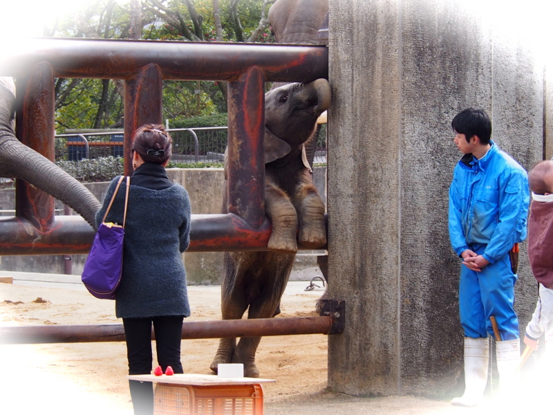 f:id:sattisatisatti:20140303125235j:image:w640 f:id:sattisatisatti:20140303125235j:image:w640