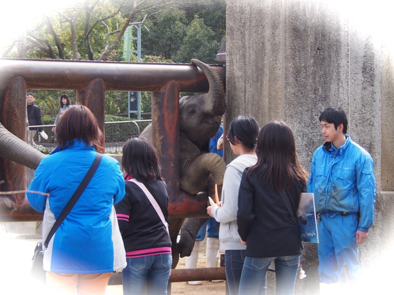 f:id:sattisatisatti:20140303125236j:image:w640 f:id:sattisatisatti:20140303125236j:image:w640