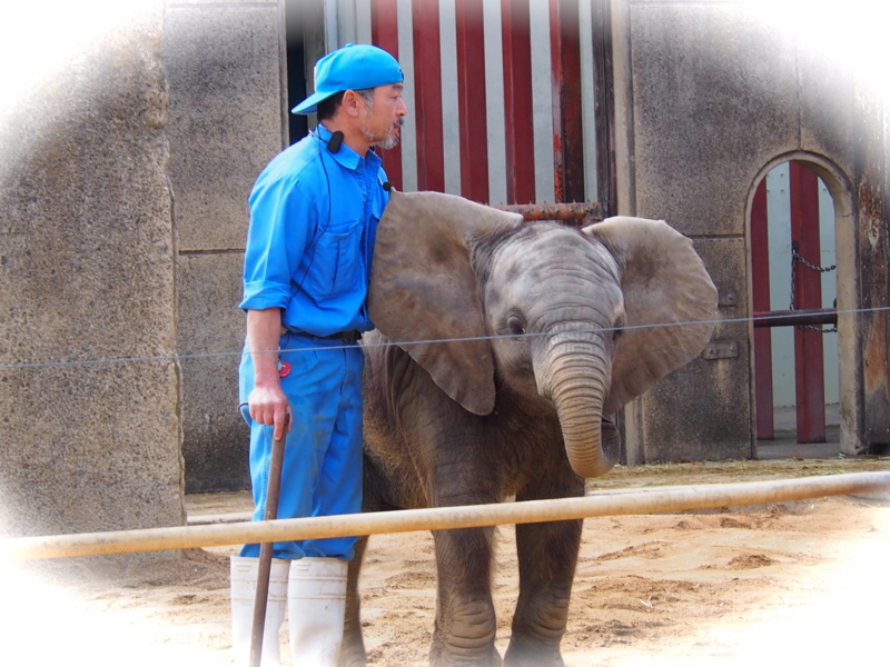 f:id:sattisatisatti:20140303125237j:image:w640 f:id:sattisatisatti:20140303125237j:image:w640