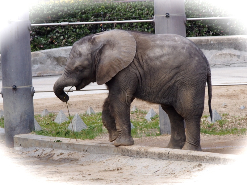 f:id:sattisatisatti:20140303125238j:image:w640 f:id:sattisatisatti:20140303125238j:image:w640