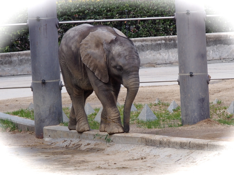 f:id:sattisatisatti:20140303125239j:image:w640 f:id:sattisatisatti:20140303125239j:image:w640