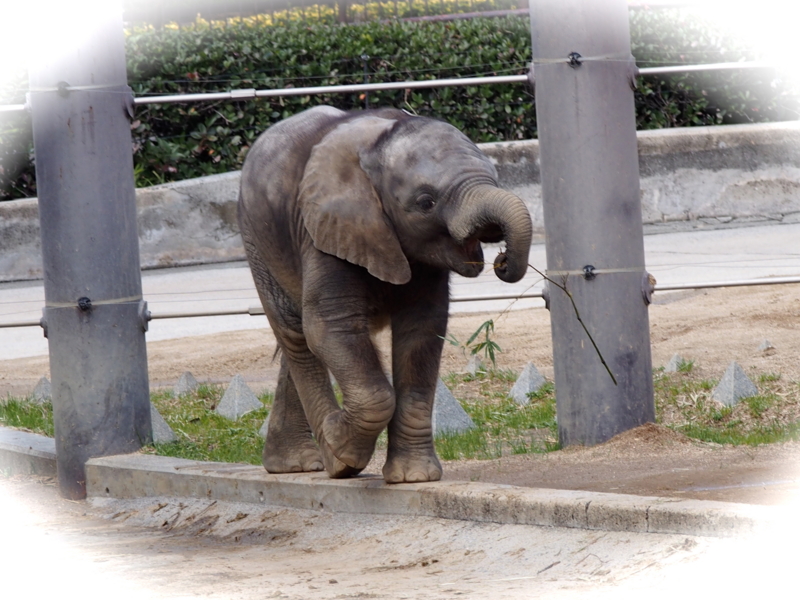 f:id:sattisatisatti:20140303125240j:image:w640 f:id:sattisatisatti:20140303125240j:image:w640