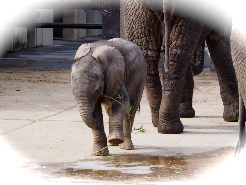 f:id:sattisatisatti:20140303125241j:image:w640 f:id:sattisatisatti:20140303125241j:image:w640