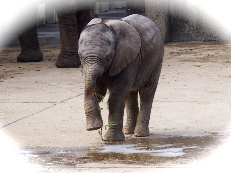 f:id:sattisatisatti:20140303125243j:image:w640 f:id:sattisatisatti:20140303125243j:image:w640