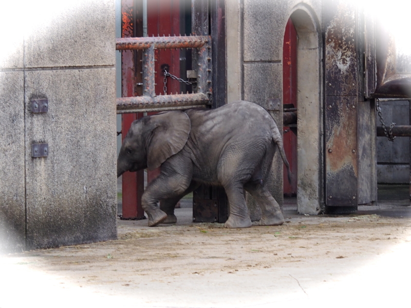 f:id:sattisatisatti:20140303125244j:image:w640 f:id:sattisatisatti:20140303125244j:image:w640