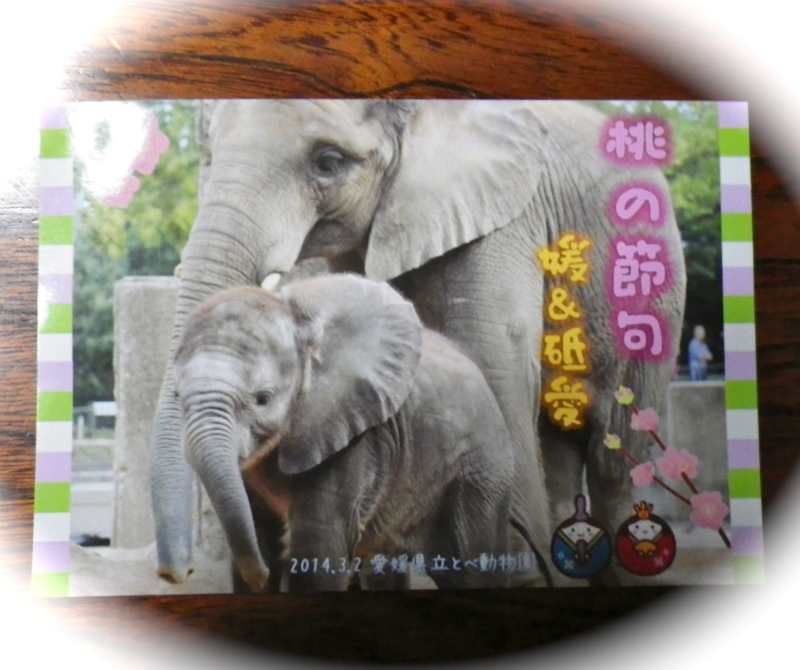 f:id:sattisatisatti:20140303144206j:image:w360 f:id:sattisatisatti:20140303144206j:image:w360