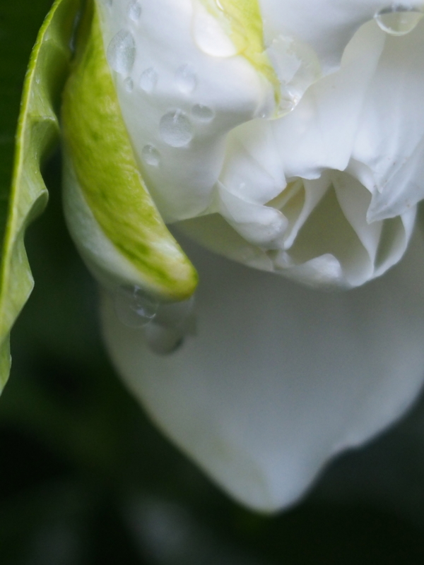 f:id:sattisatisatti:20140625230200j:image:w640 f:id:sattisatisatti:20140625230200j:image:w640