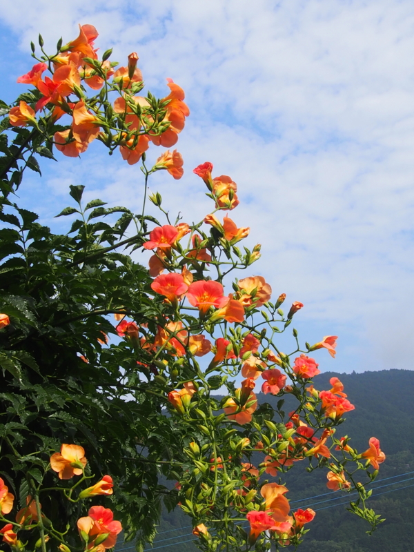f:id:sattisatisatti:20140713074955j:image:w640 f:id:sattisatisatti:20140713074955j:image:w640
