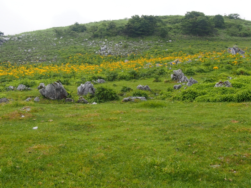 f:id:sattisatisatti:20140731055940j:image:w640