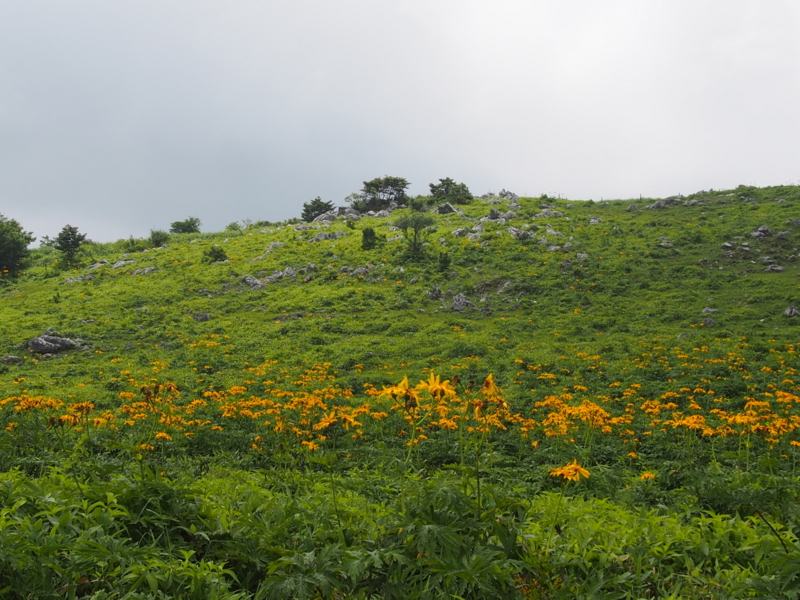 f:id:sattisatisatti:20140731055941j:image:w640