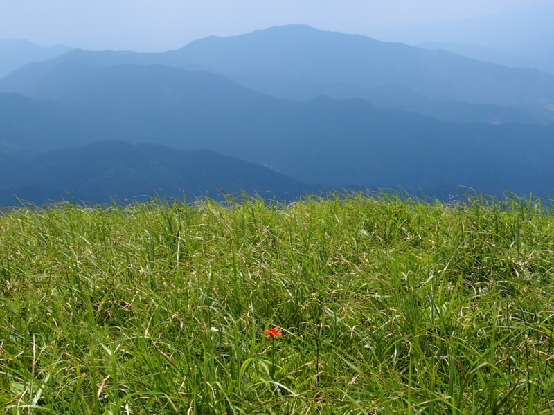 f:id:sattisatisatti:20140731055958j:image:w640