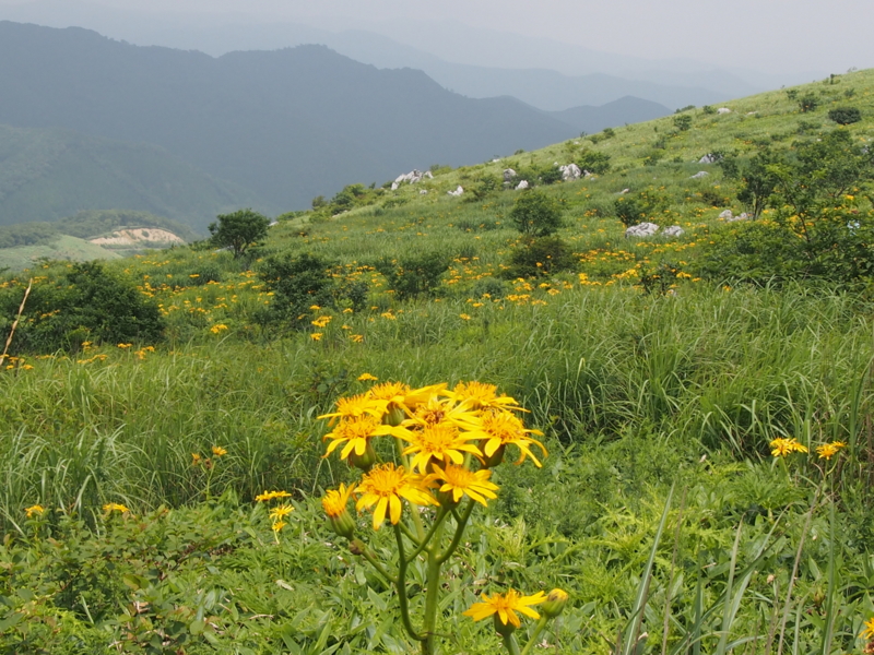 f:id:sattisatisatti:20140731060001j:image:w640