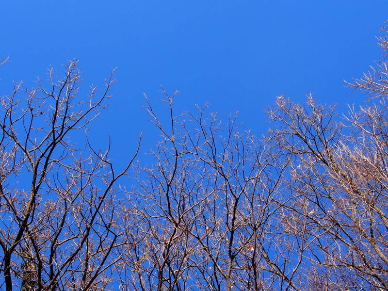 f:id:sattisatisatti:20150114215648j:image:w640