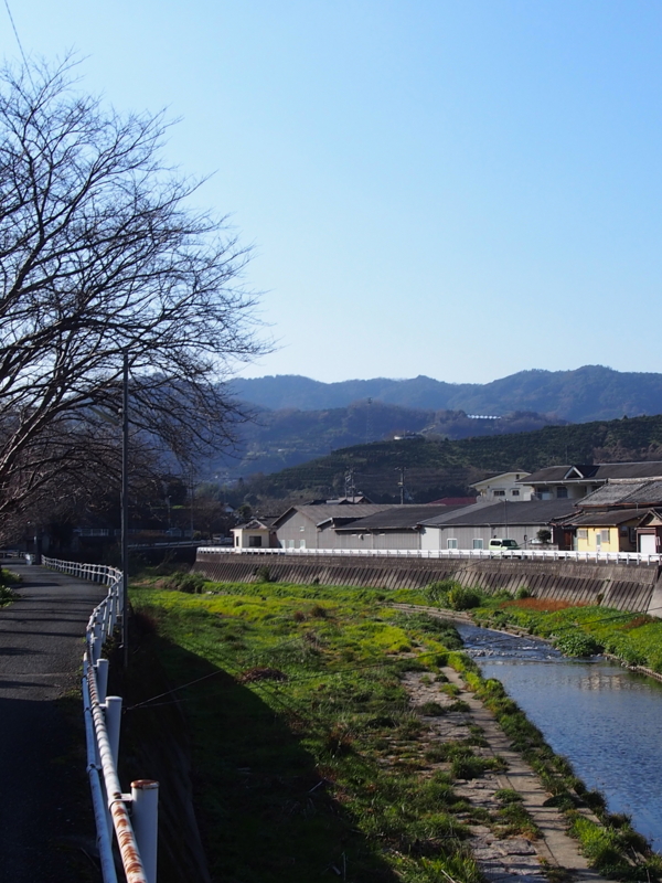 f:id:sattisatisatti:20150125202033j:image:w360