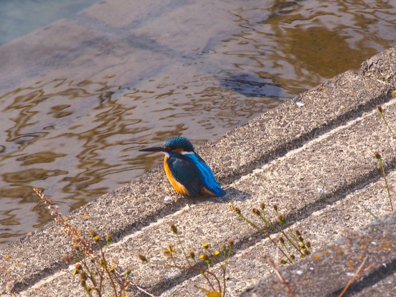 f:id:sattisatisatti:20150217084717j:image:w640 f:id:sattisatisatti:20150217084717j:image:w640